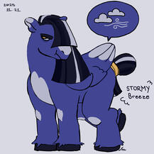 pony